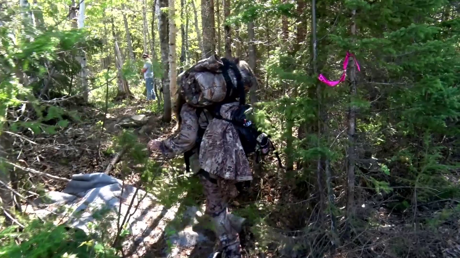 Girl vs Bear episode thumbnail