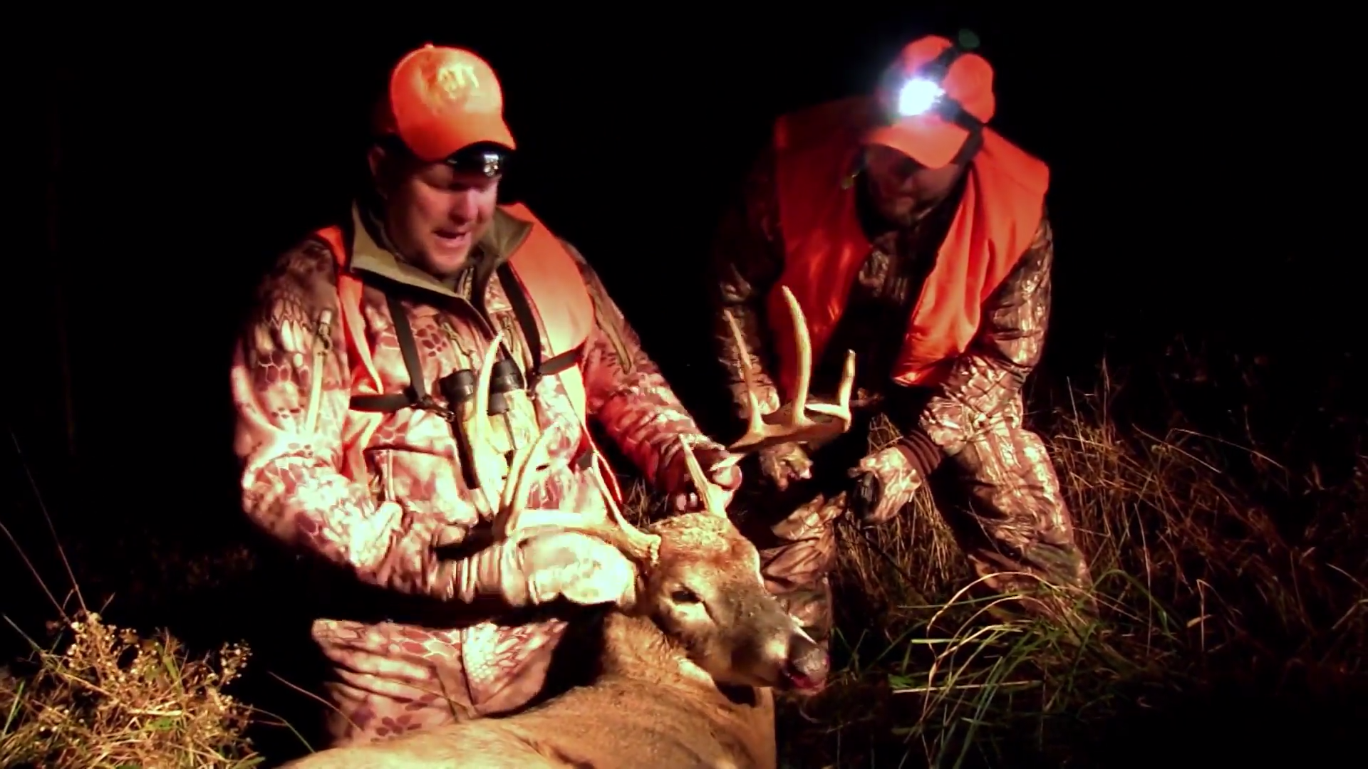 Viewers' Deer episode thumbnail