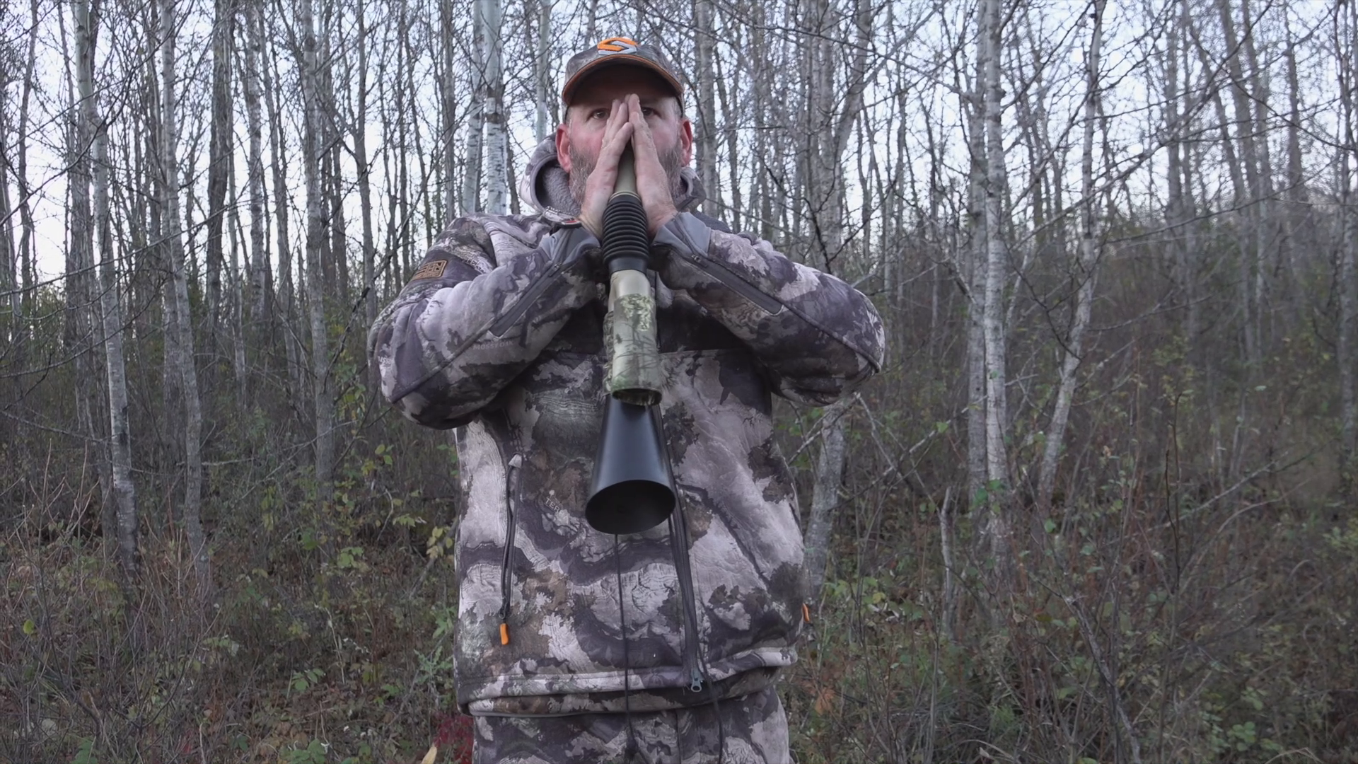 The Sloth episode thumbnail