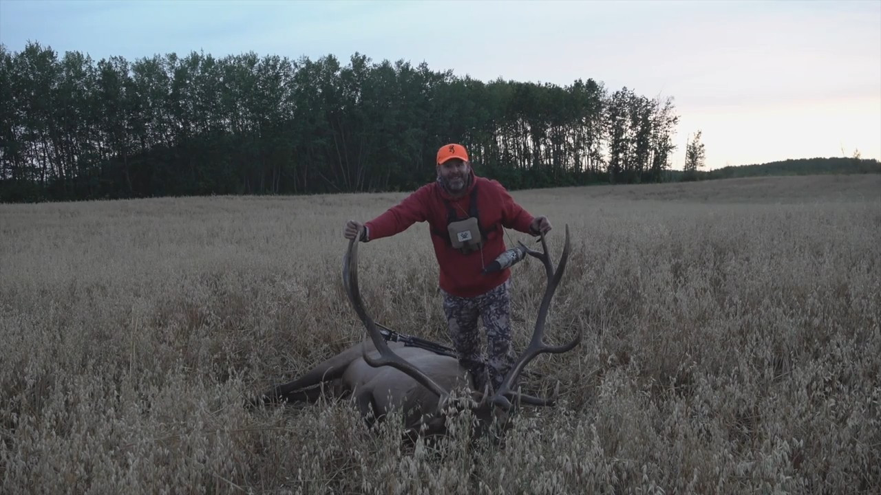 Elk episode thumbnail