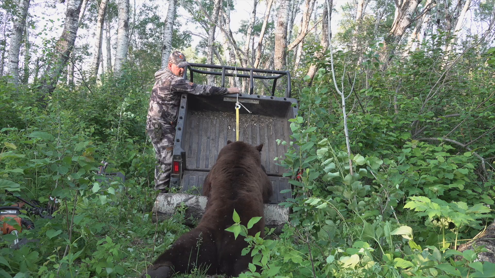 Down to the Wire episode thumbnail