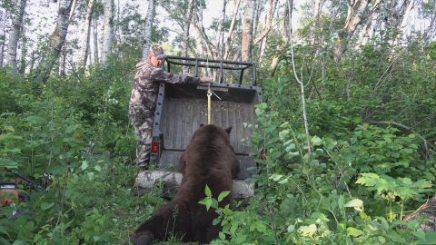 Down to the Wire episode thumbnail