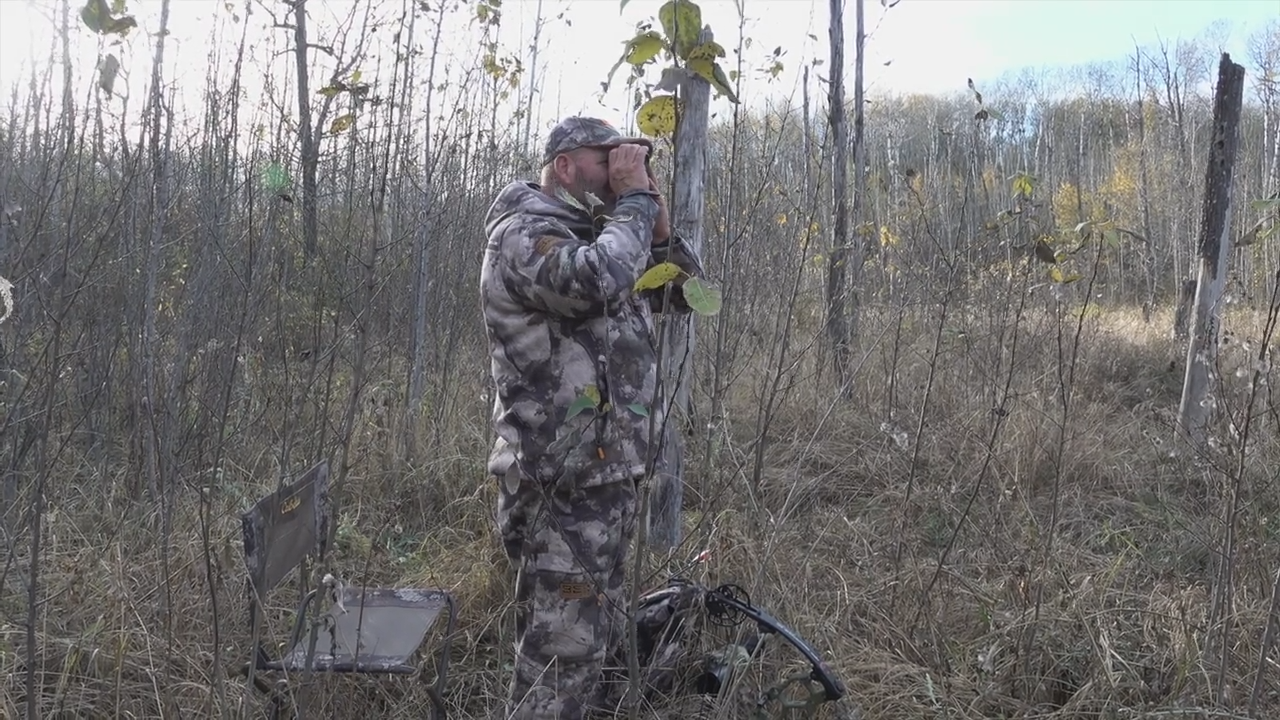 Bullwinkle episode thumbnail