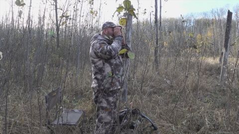 Bullwinkle episode thumbnail