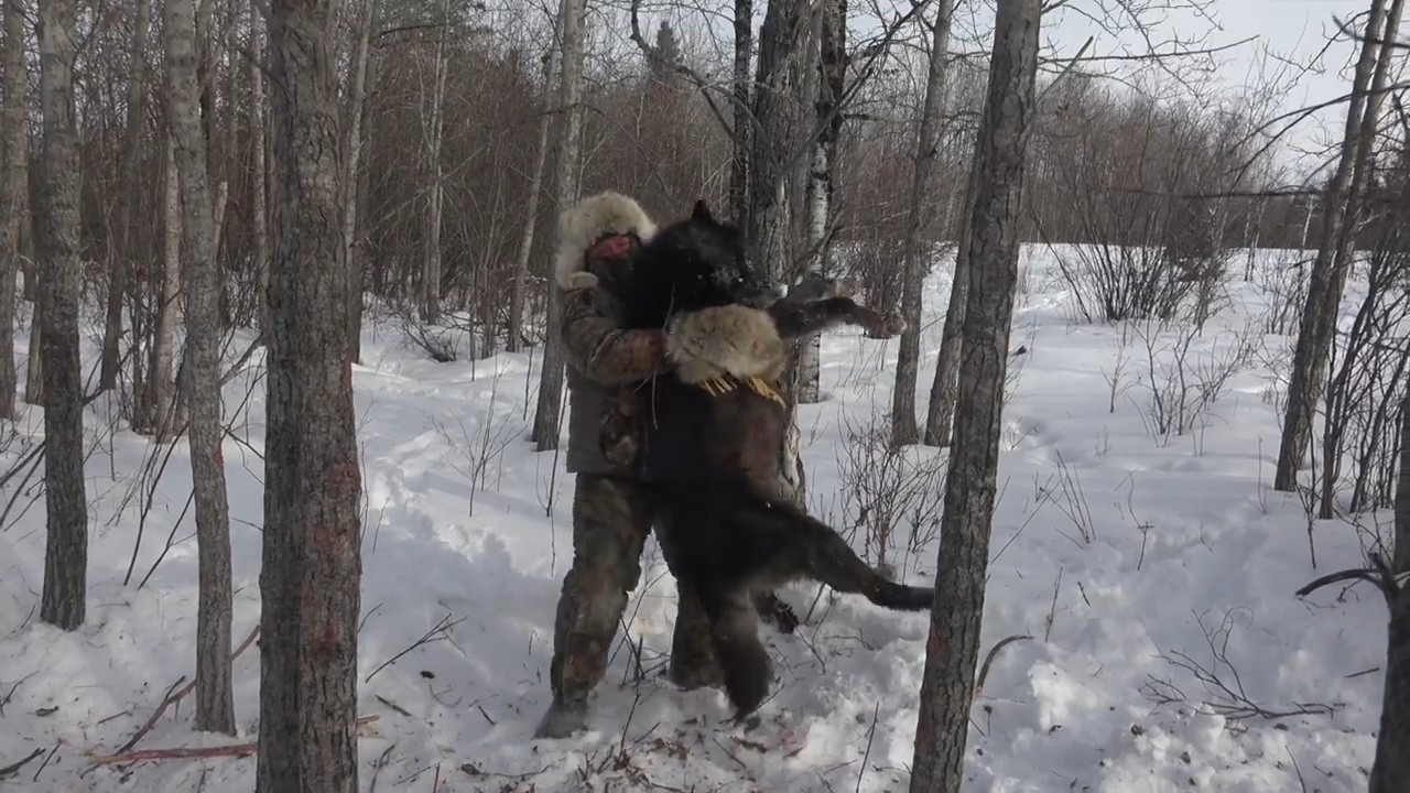 Fur episode thumbnail