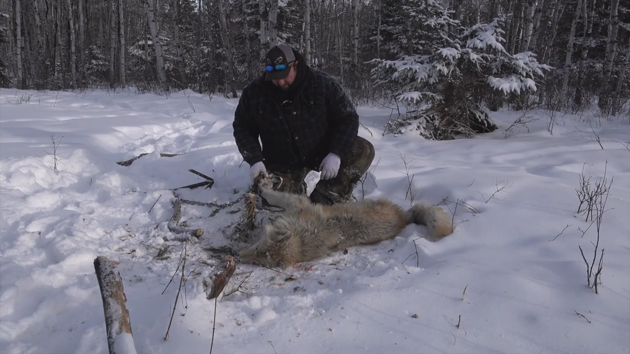 The Line episode thumbnail