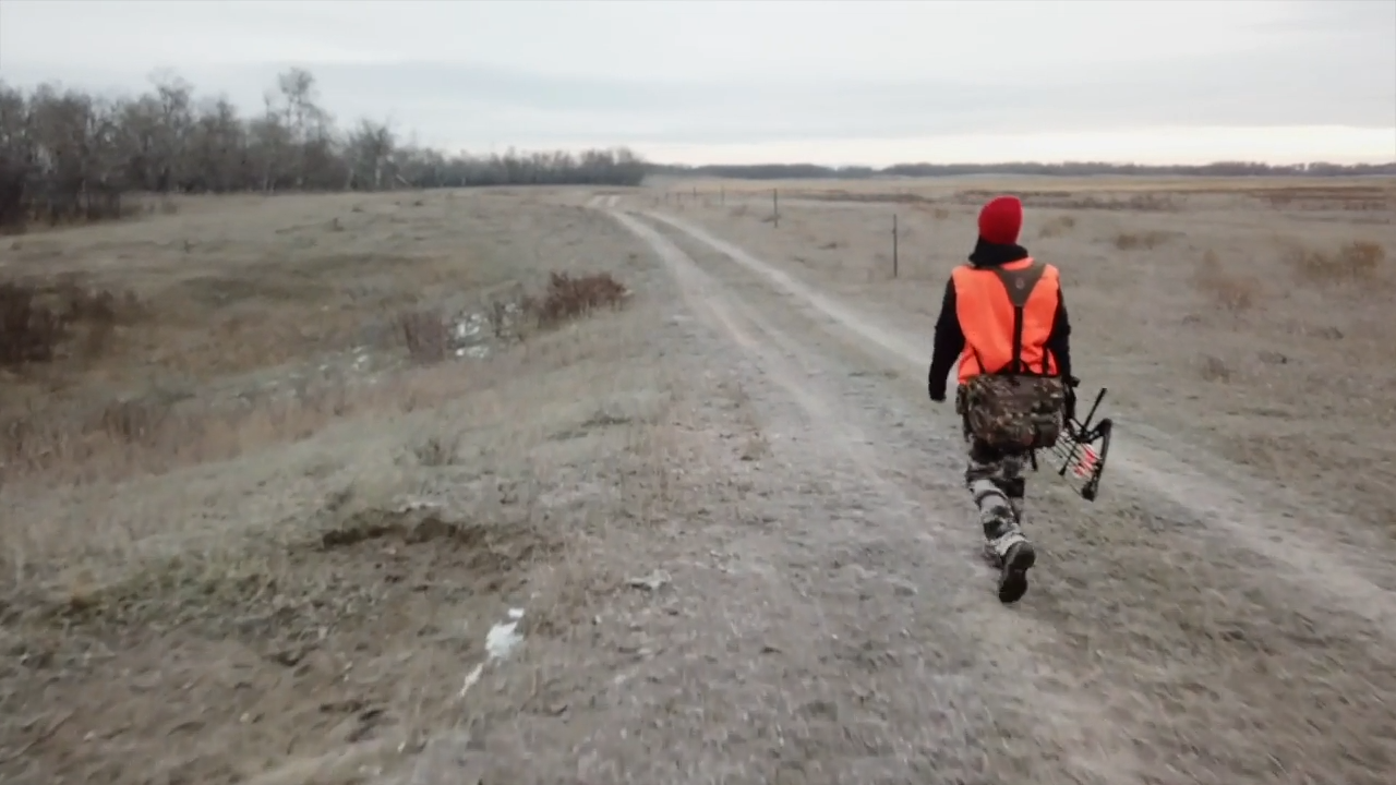 Wrap Up episode thumbnail