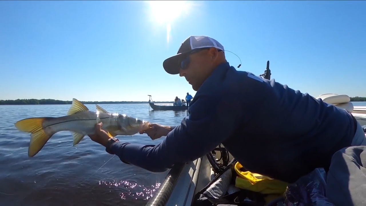 Welcome To the Jungle episode thumbnail