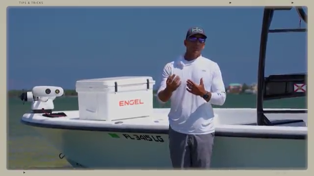 Tip: Daisy Chain Fishing episode thumbnail