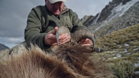 King of the Mountain episode thumbnail