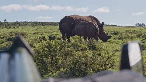 The Hunting Heritage of South Africa episode thumbnail