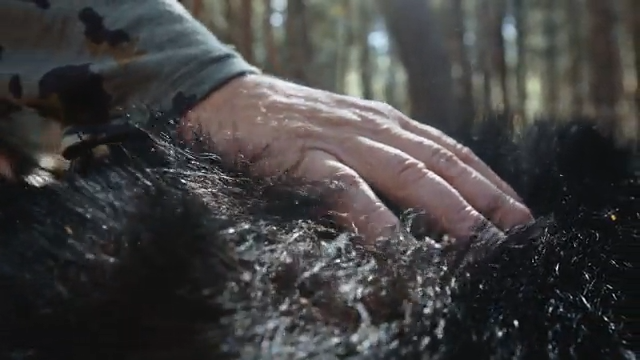 Bear Necessities episode thumbnail