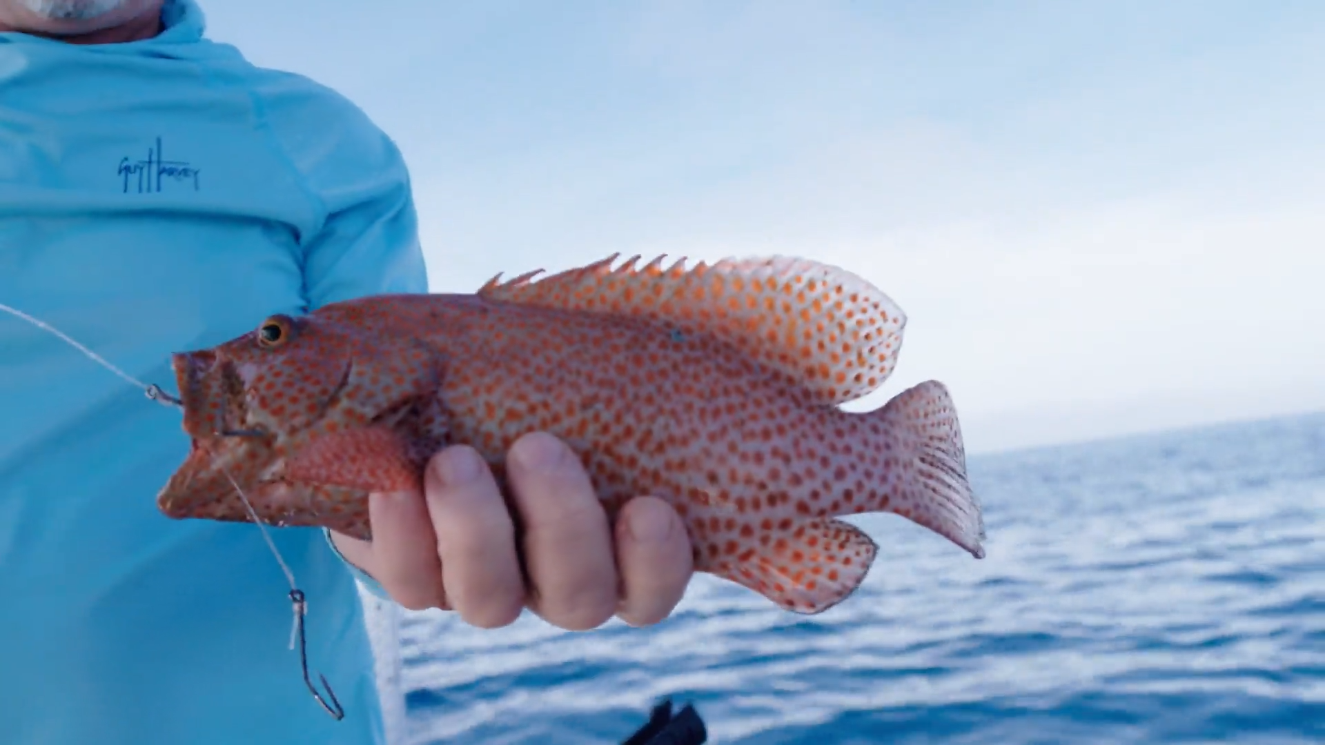 Gulf Snapper episode thumbnail