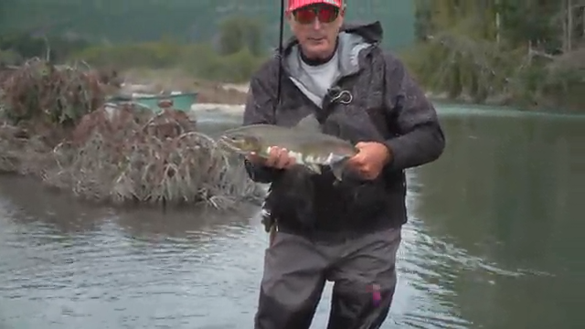 Pacific Coho Salmon episode thumbnail