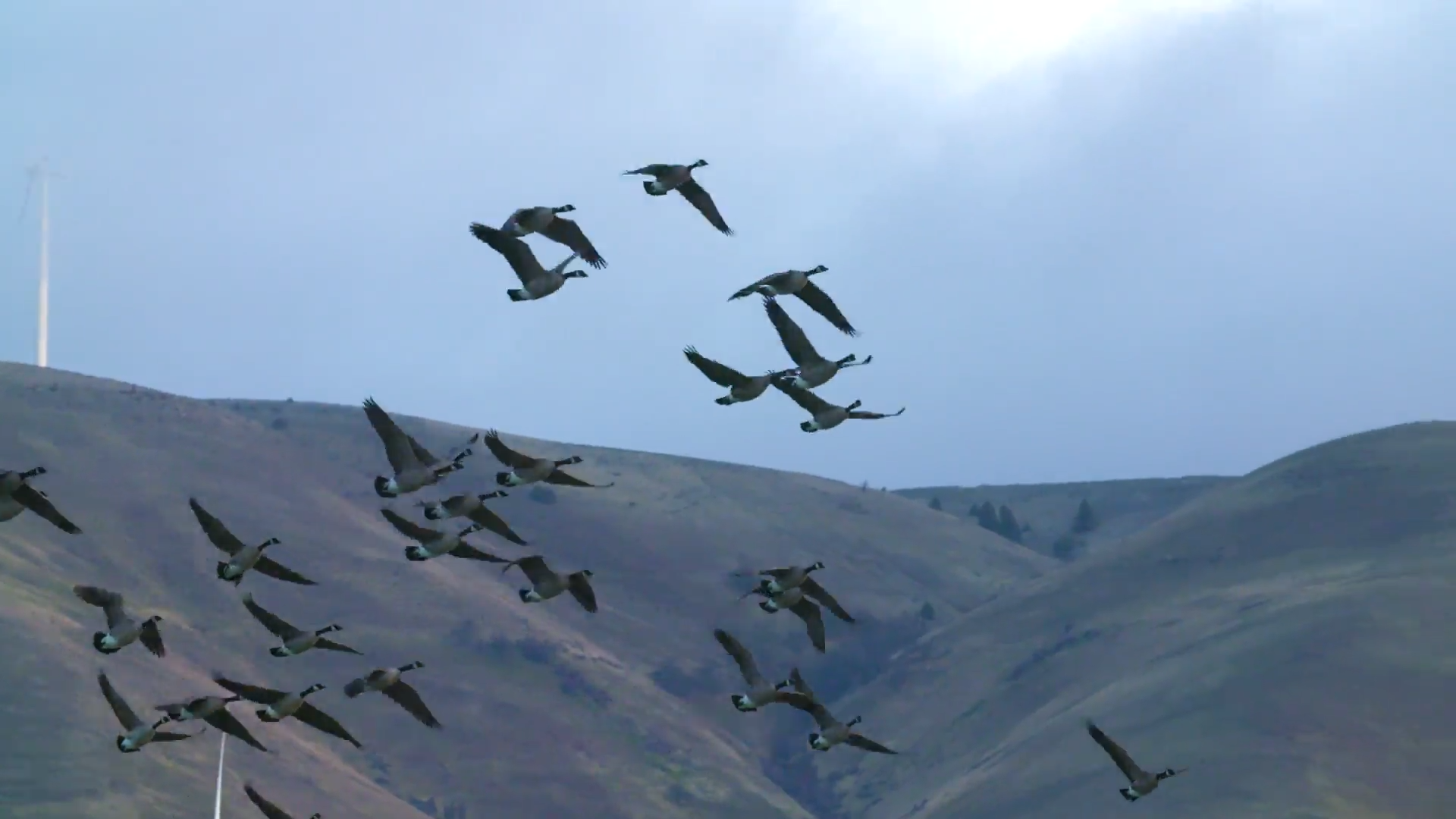 Columbia River Gorge episode thumbnail