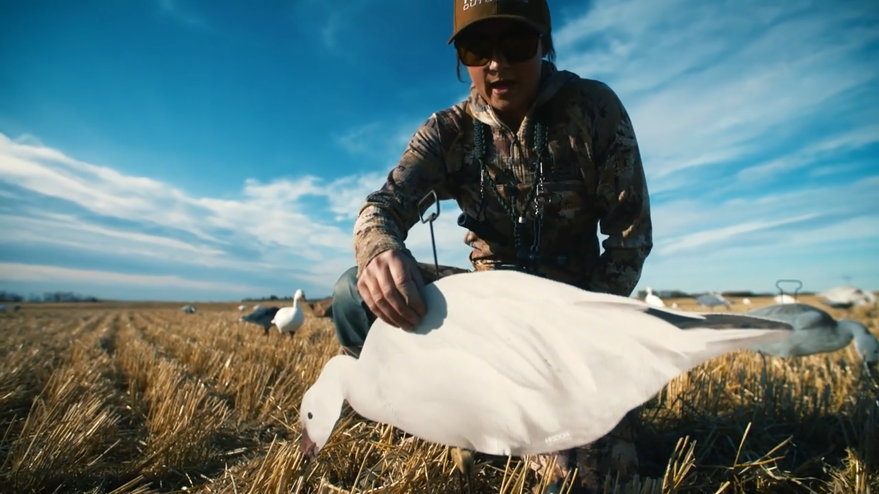 Mallards While You Wait episode thumbnail