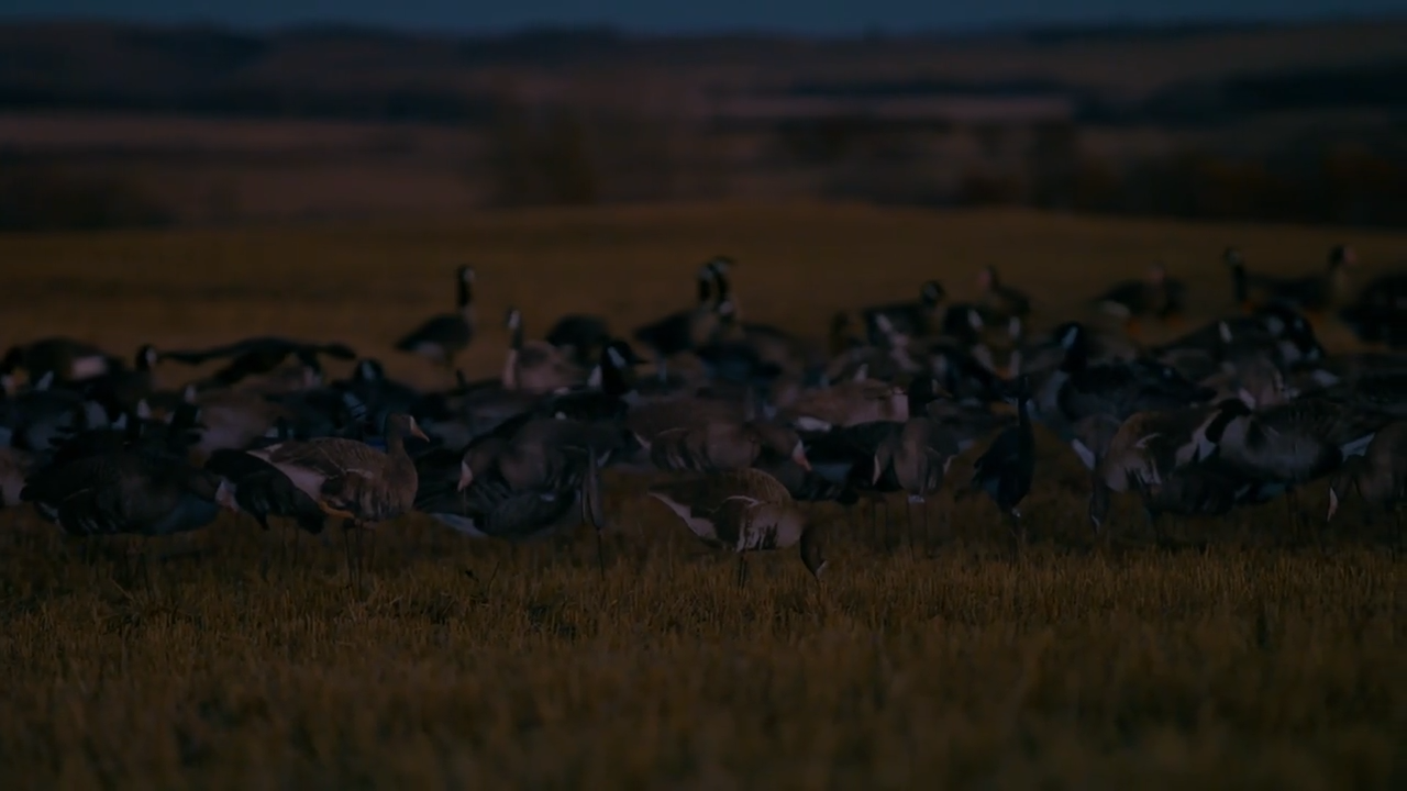 Creek Don’t Rise episode thumbnail