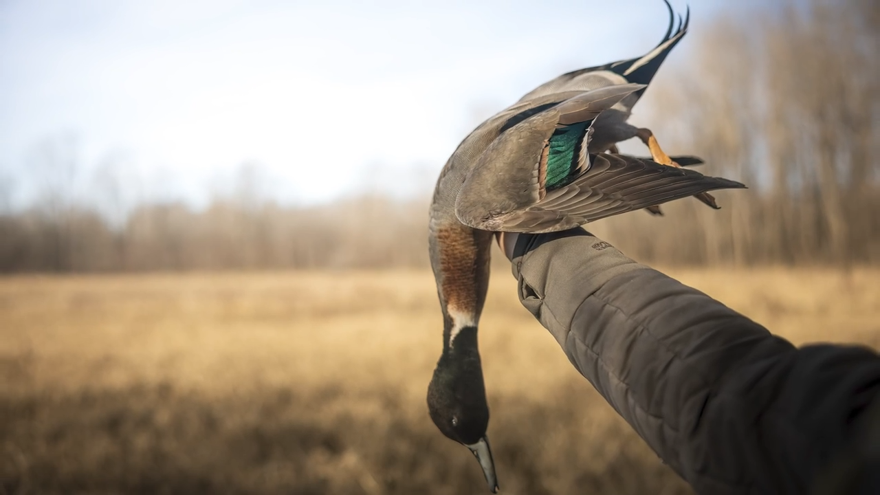 Last Day of the Season episode thumbnail