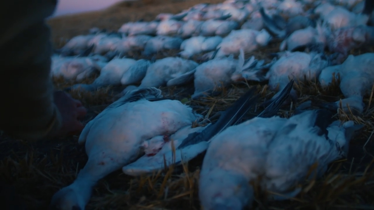 Go For Snows: Part 2 episode thumbnail