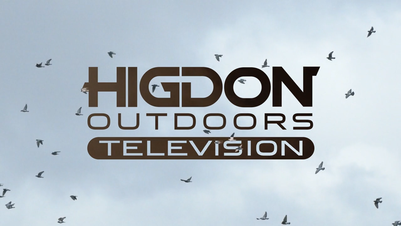 Ducks and Pidgenado episode thumbnail