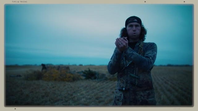 Tip: Calling Techniques for Canadas and Snows episode thumbnail