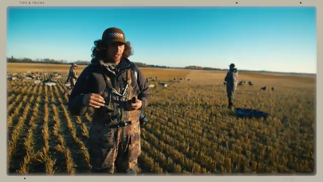 Tip: Techniques for Calling in Geese episode thumbnail