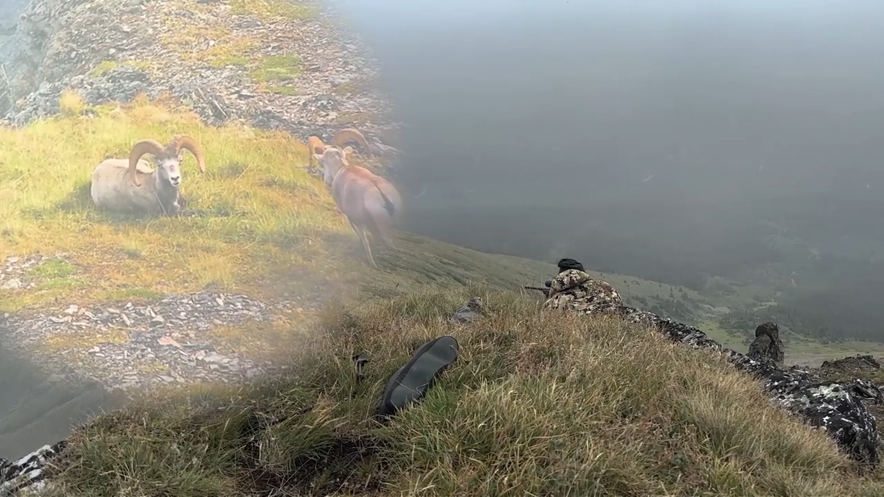 The Lows episode thumbnail