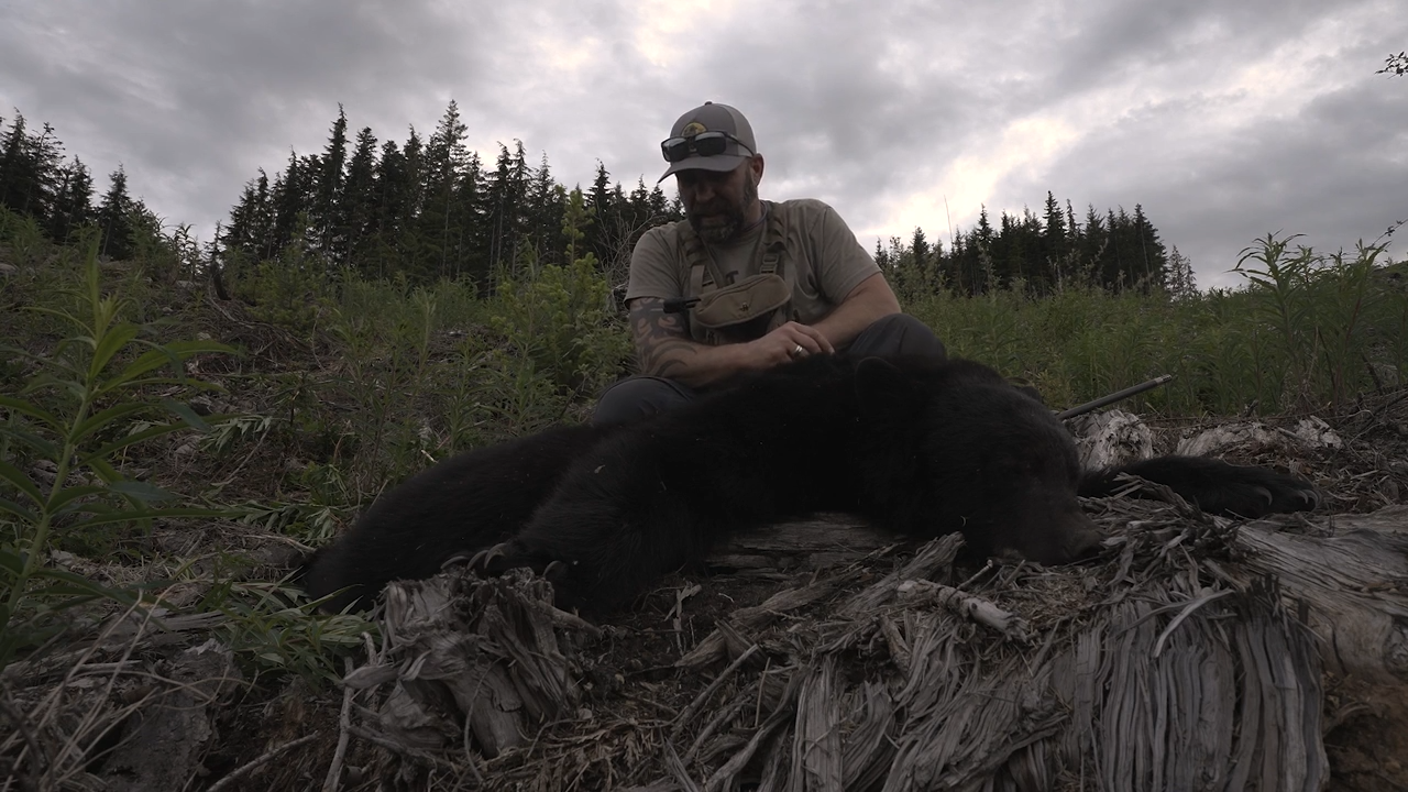 Vancouver Island Black Bear episode thumbnail