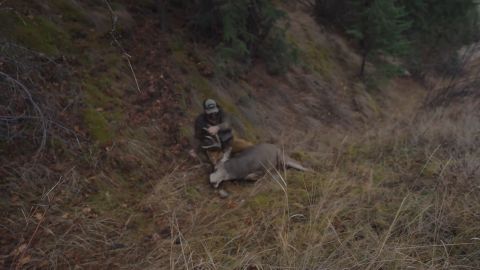 BC Interior Mule Deer Hunt  - Weekend Warriors Part 2 episode thumbnail