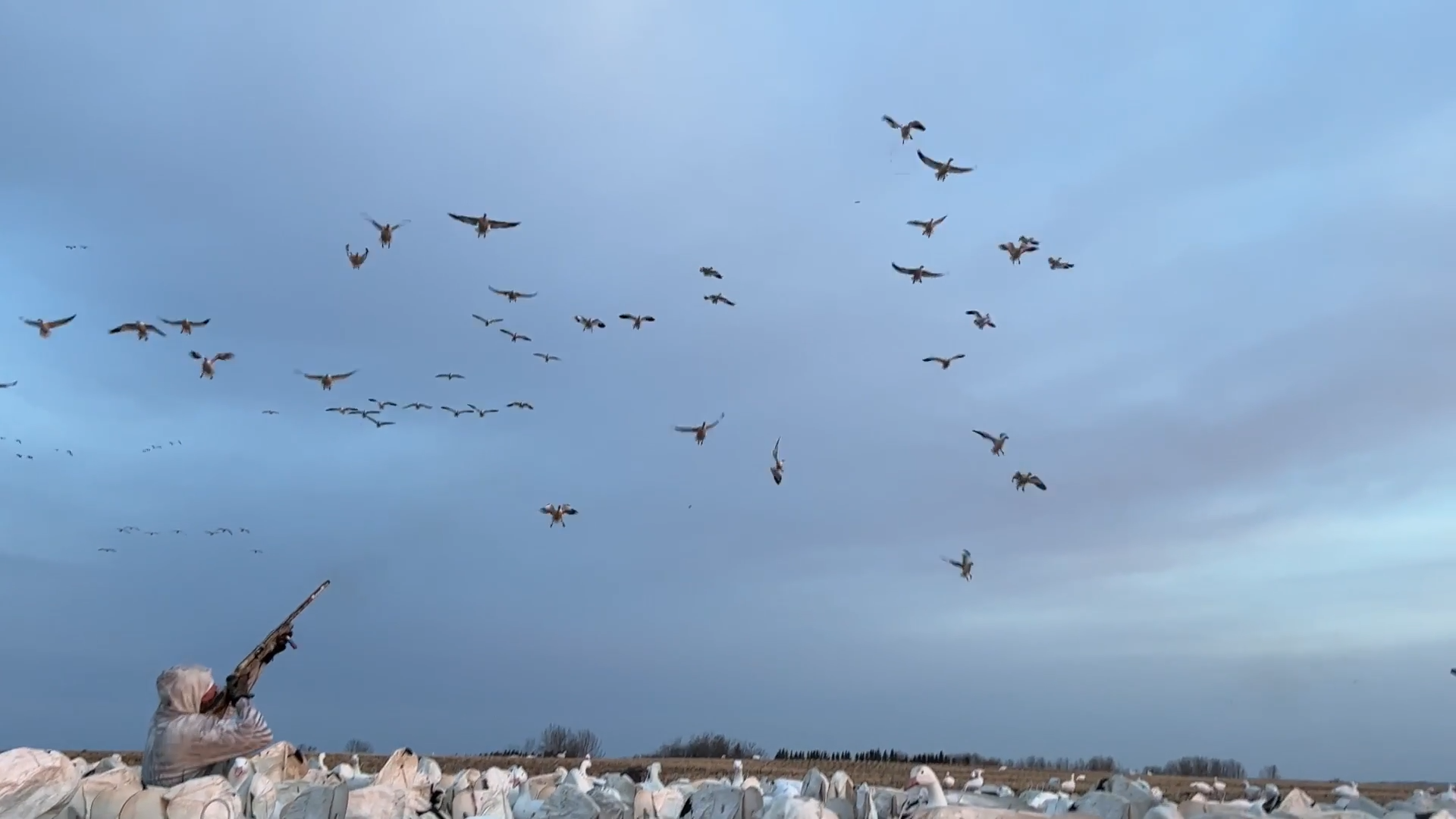 One Morning, 300 Snows episode thumbnail