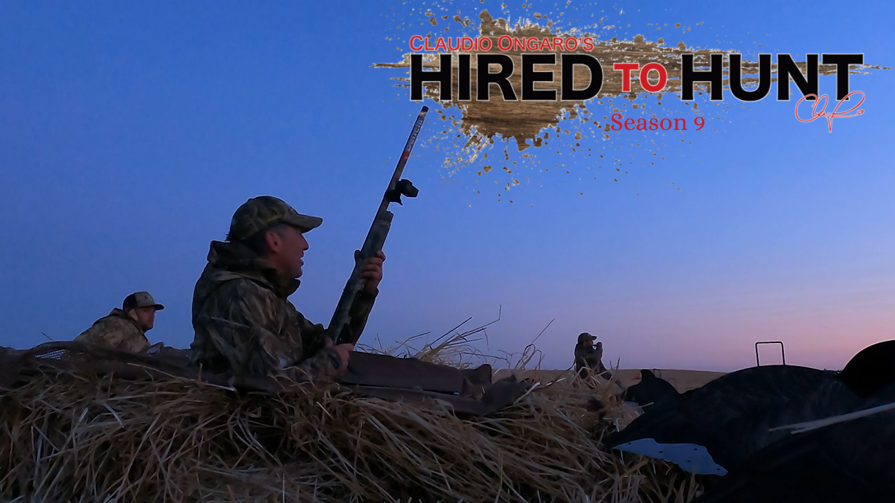 The Perfect Hunt episode thumbnail