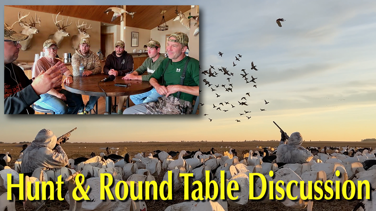 In the Field with Claudio episode thumbnail