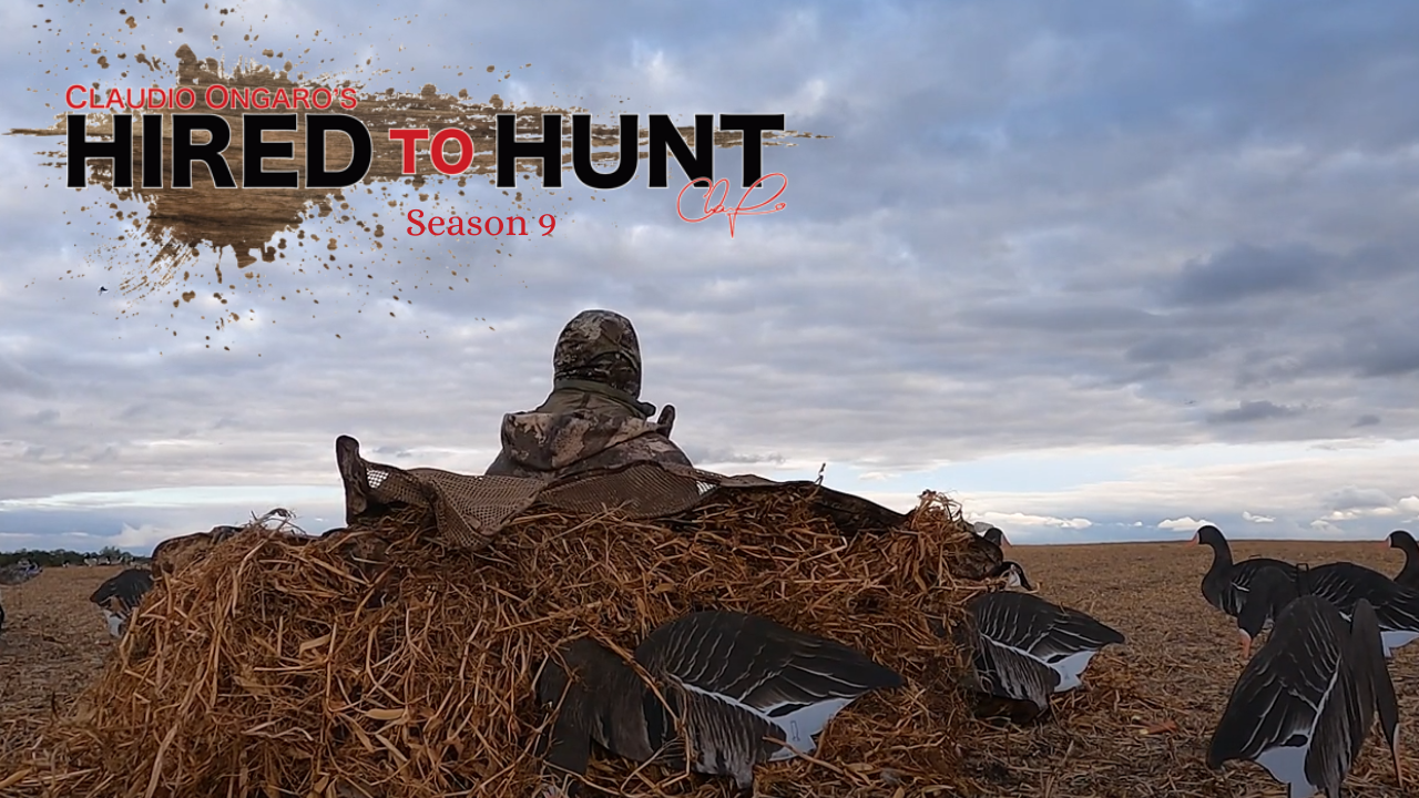 Adapt or Die Guiding episode thumbnail