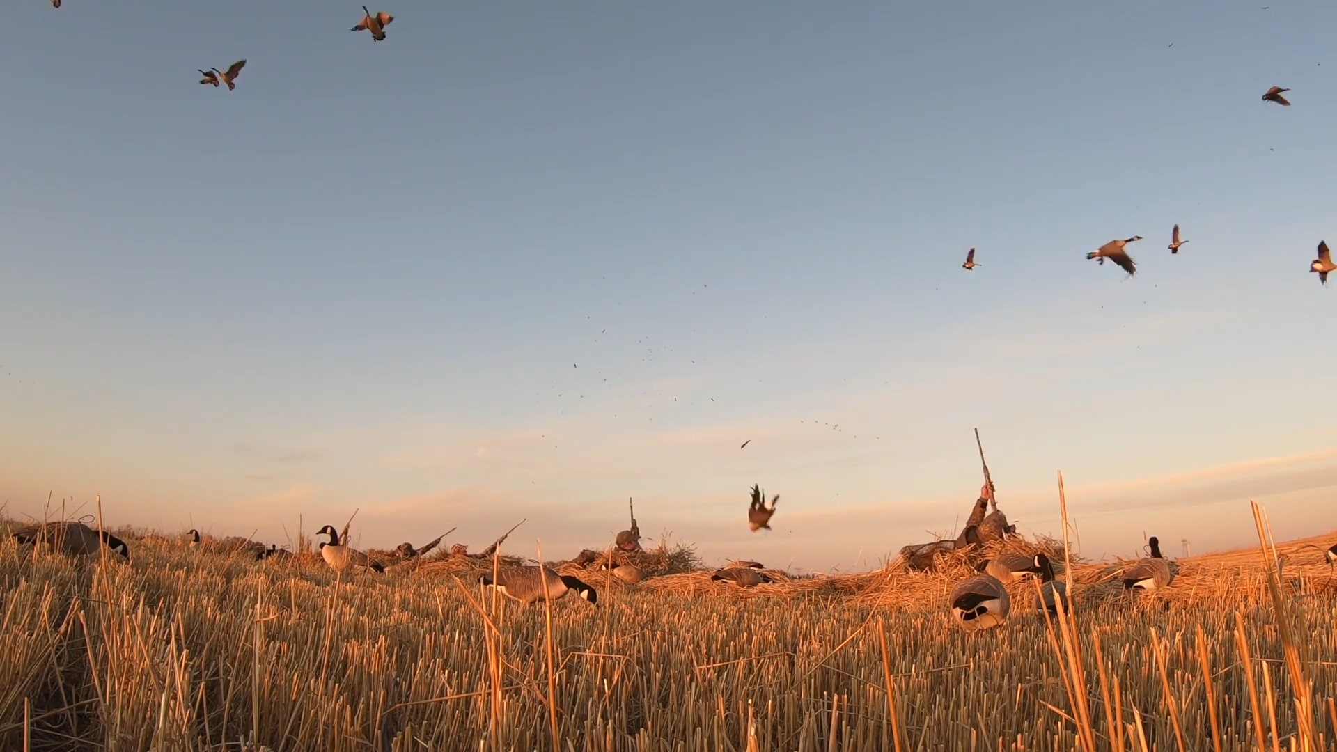 Decoy Rigs and “Watch Your Head” episode thumbnail