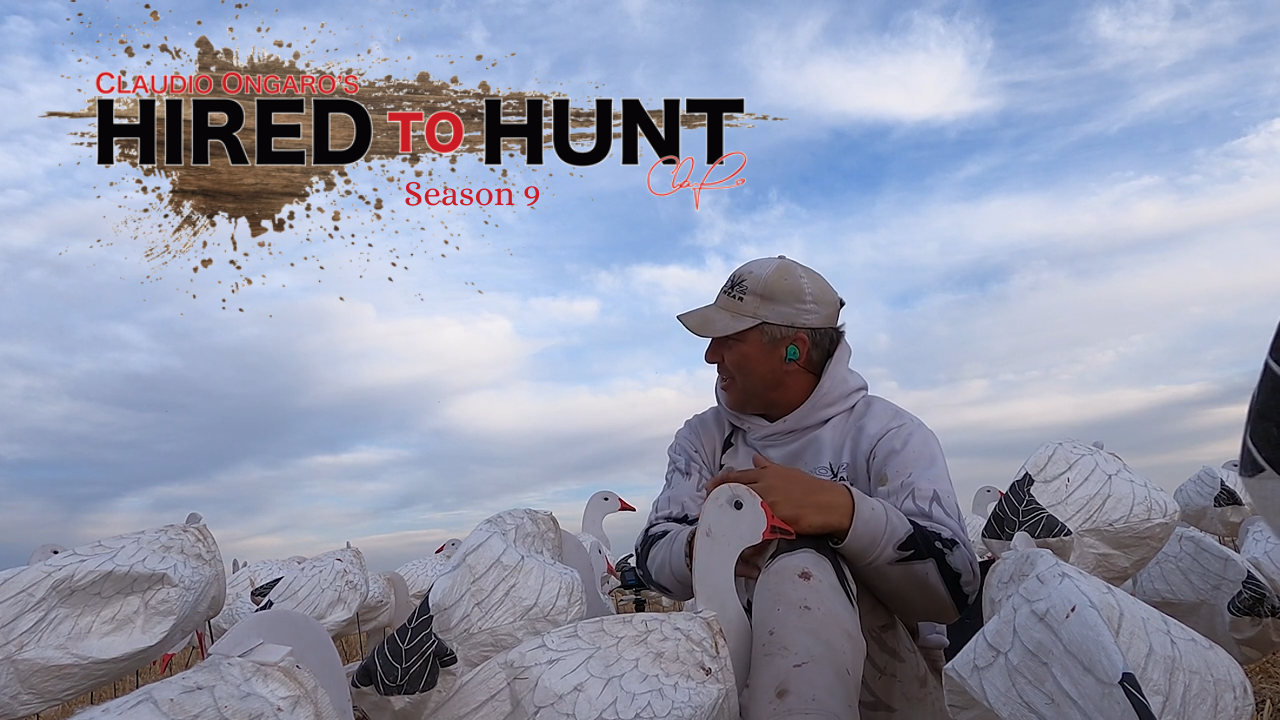 Hard Hat Zone episode thumbnail
