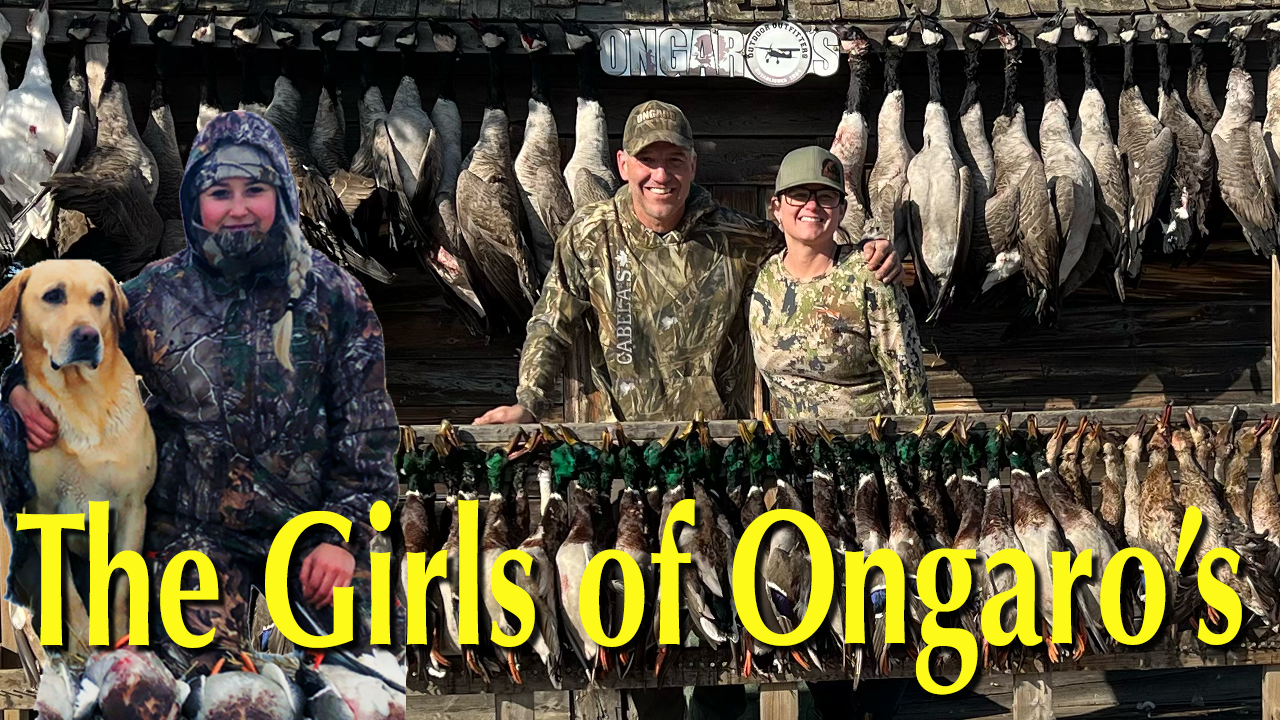 The Girls of Ongaro's episode thumbnail