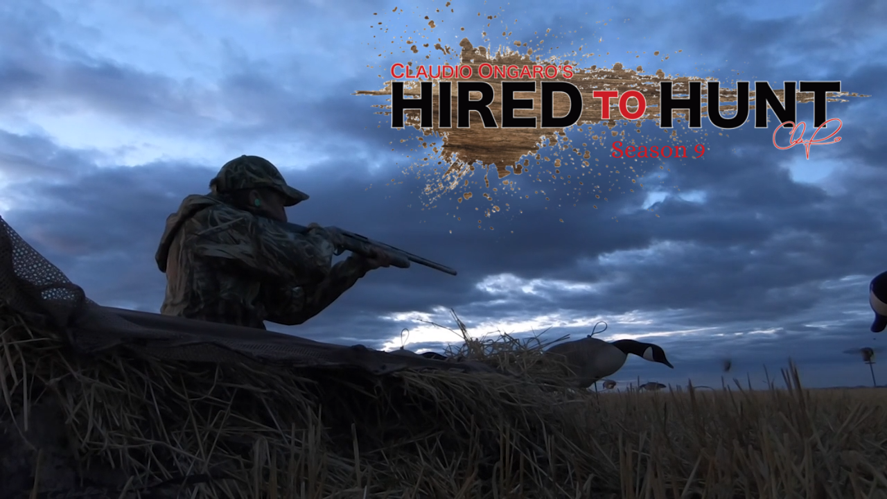 Alberta Ducks episode thumbnail