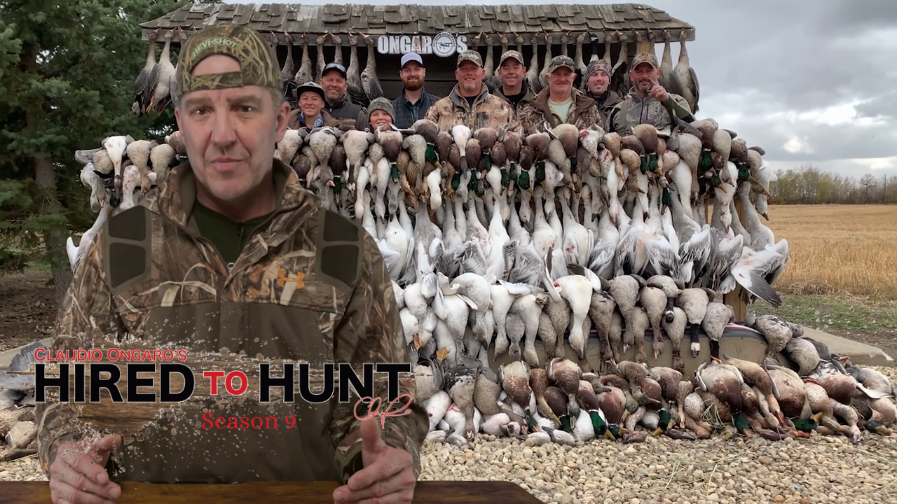 Specs, Canadas, Ducks and DiveBombs episode thumbnail