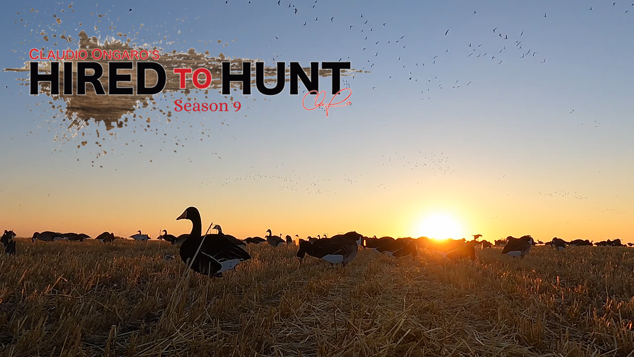 Specs & Honks: Alberta Duck and Goose Hunting episode thumbnail