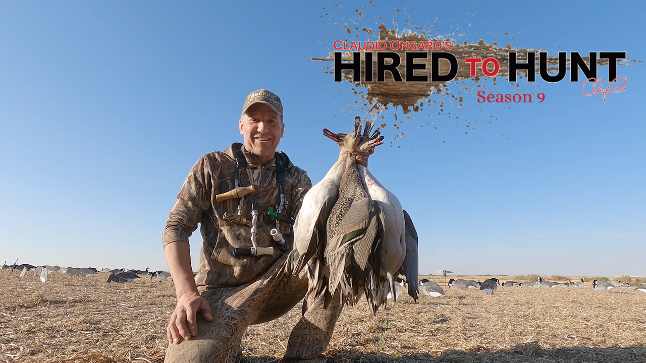 Inside the Blind AGAIN with Claudio Ongaro Alberta Duck and Goose Hunting episode thumbnail