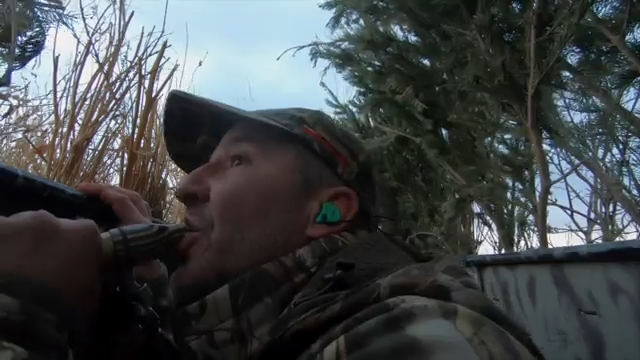Ongaro on Spotting episode thumbnail