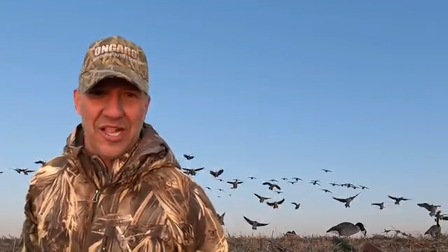JayMo Matt Badry Ducks episode thumbnail
