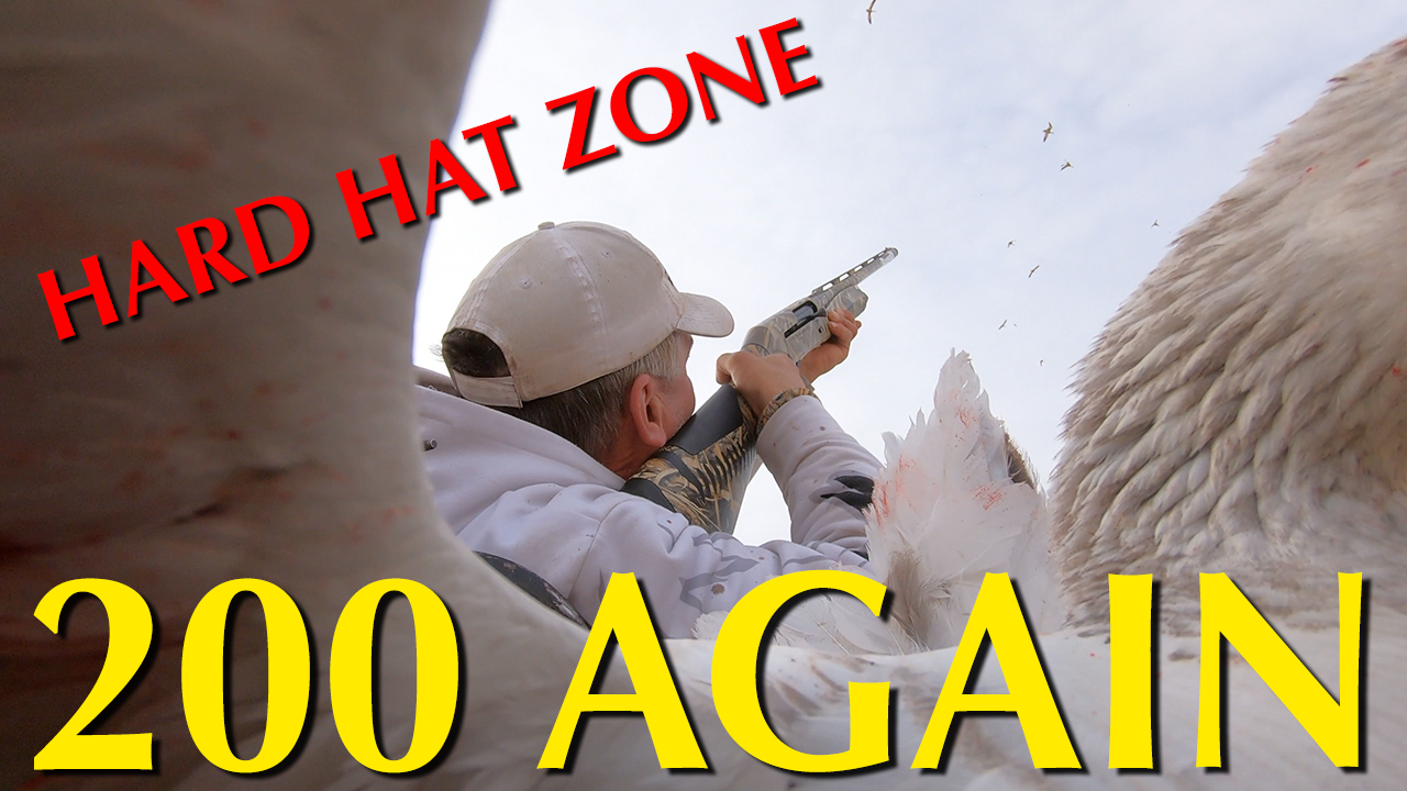 PART 2 - 200 Bird Snow Goose Hunt - Hard Hat Zone episode thumbnail