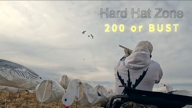 200 Bird Snow Goose Hunt - Hard Hat Zone episode thumbnail