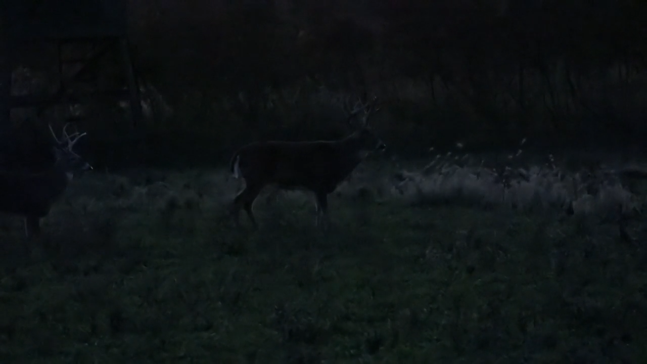 Last Minute Buck episode thumbnail