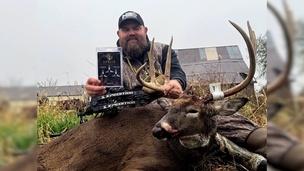 Tim's Buck episode thumbnail