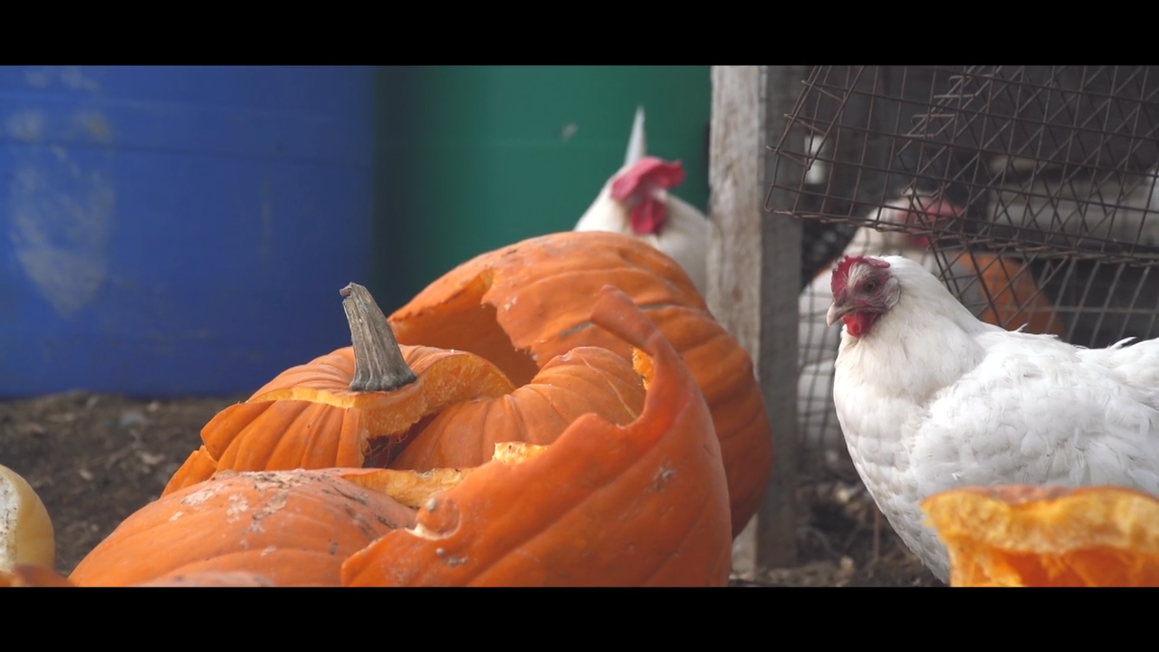 The Waste episode thumbnail