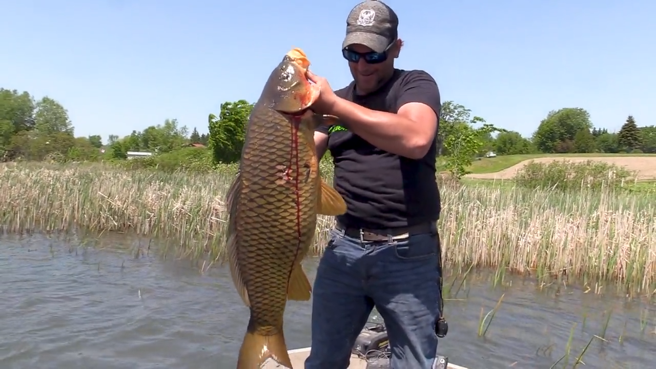 Fertilizer from the Waters episode thumbnail