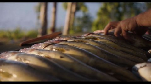 Floating Docks and Bass Tacos episode thumbnail