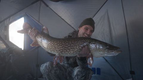 Predators of the Ice episode thumbnail